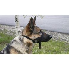 Nosgrimma Halti Nossele & Nosgrimma Headcollar