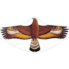 Steinadler 1146