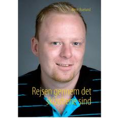 Rejsen gennem det skizofrene sind (Hardcover, 2008)