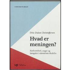 Hvad er meningen: om kedsomhed, angst og længsler i elevernes skoleliv (Hæftet, 2017)