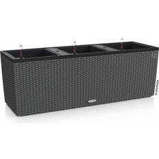 Clarius Trio Cottage Plantekasse