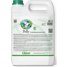 Polly