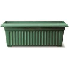 Corinthian Trough