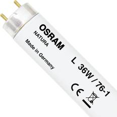Osram Natura Fluorescent Lamp 36W G13