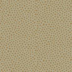 Cole & Son Senzo Spot Wallpaper Ardmore Collection Roll Olive 109-6029