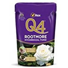 Q4 Rootmore