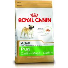 Pug Royal Canin Pug Mops Adult