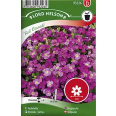 Mars Blomsterfrø Nelson Garden Aubrieta Red Cascade 112 pack