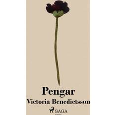 Pengar (Ljudbok, MP3, 2017)