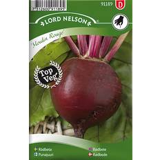 Frø Nelson Garden Beetroot Round Moulin Rouge 225 pack