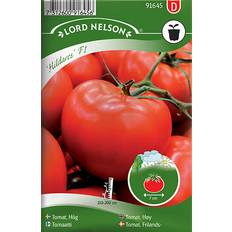 Nelson Garden Tomato High Hildares F1 6 pack Grøntsagsfrø