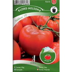 Nelson Garden Grønnsaksfrø Nelson Garden Tomato High Hildares F1 6 pack