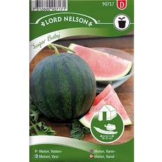 Frugt- & Bærfrø Nelson Garden VandMelon Frø 36 pack