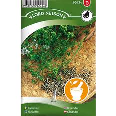 Krukker, Planter & Dyrkning Nelson Garden Coriander 69 pack Krydderurtefrø