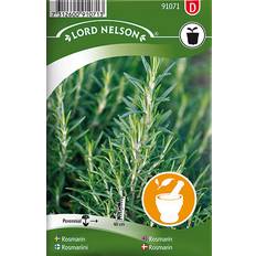 Urtefrø Nelson Garden Rosemary 100 pack