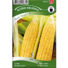 Nelson Garden Majs Sukker Sweet Nugget F1 17 pack Grøntsagsfrø