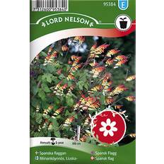 Krukker, Planter & Dyrkning Nelson Garden Spansk Flag 14 pack Blomsterfrø