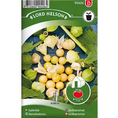 Krukker, Planter & Dyrkning Nelson Garden Jordbærtomat 24 pack Frø