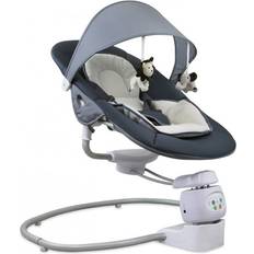 Bouncer Portable Swing