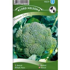 Frø Nelson Garden Broccoli Premium Crop F1 72 pack