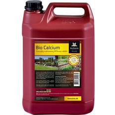 BioCalcium