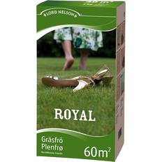 Gressfrø Nelson Garden Lord Royal 1kg 60m²