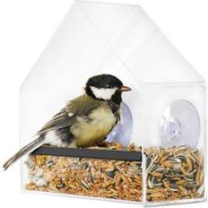 Window One Bird Feeder