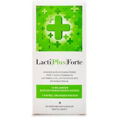 LactiPlus Forte