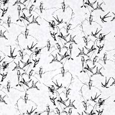 Mimou Rainbirds (WP2100)