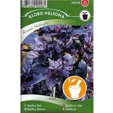 Nelson Garden Basilikum Rød Round Midnight 120 pack Krydderurtefrø