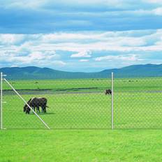 vidaXL Chain-Link Fence with Anchor Spike for Post 125cmx25m