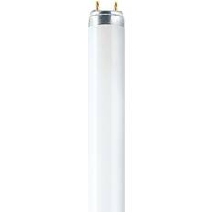 Osram L Fluorescent Lamp 18W G13 77