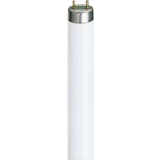 Dimmerable Fluorescent Lamps Philips Master TL-D HF Super 80 Fluorescent Lamp 32W G13