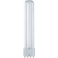 2g11 36w Osram Dulux L Fluorescent Lamp 36W 2G11 865