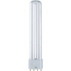 Linear Fluorescent Lamps Osram Dulux L Lumilux De Luxe Fluorescent Lamp 36W 2G11