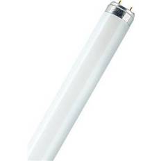 Dagsljus Lysrör Osram L Fluorescent Lamp 18W G13 954