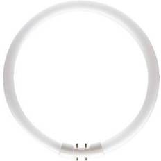 Philips MASTER TL5C Circolare 22W 840 Bianco Freddo 22cm