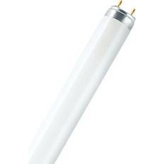 G13 Lampes Fluorescentes Osram Tube fluorescent G13 18 W blanc froid forme de tube 1 pc(s)