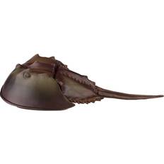 Safari Horseshoe Crab XL