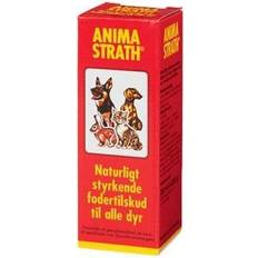 Anima Strath