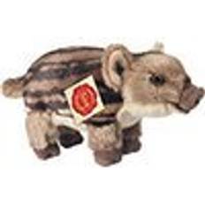 Wild Boar Piglet 908326