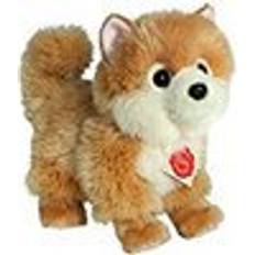 Pomeranian Hermann Teddy Pomeranian Dog 919223