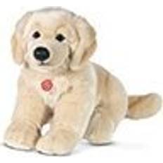 Hermann Teddy Golden Retriever Sitting 927464