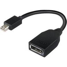 DisplayPort Kabler Lenovo Mini DisplayPort - DisplayPort Adapter M-F 0.2m