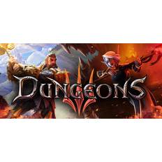 Jeux PC Dungeons 3 PC