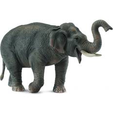 Éléphant Figurines Collecta Asian Elephant 88486