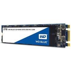 Western Digital M.2 Hard Drives Western Digital Blue 3D Nand WDS250G2B0B 250GB