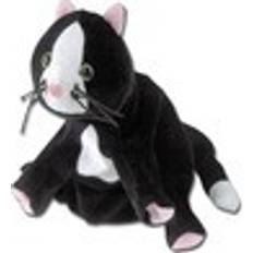 Katt 40081