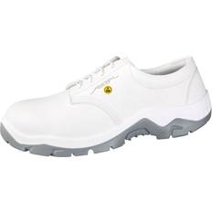 Abeba Anatom 32131 S2 SRC