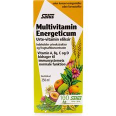 Salus Multivitamin Energeticum 250ml 250 st